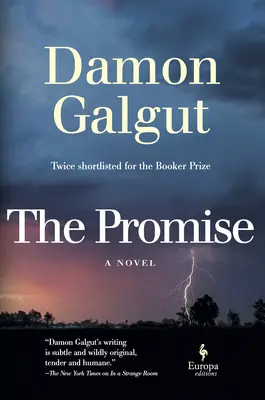 Prísľub: román (držiteľ Bookerovej ceny) - The Promise: A Novel (Booker Prize Winner)