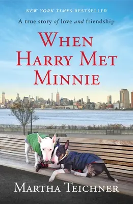 Keď Harry stretol Minnie - When Harry Met Minnie