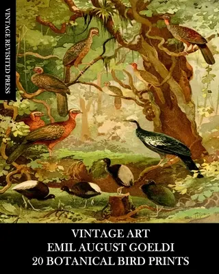 Vintage Art: Emil August Goeldi: 20 výtlačkov botanických vtákov: Bitteri: 20 fotografií pre rámovanie, dekorácie do domácnosti, koláže a dekupáž - Vintage Art: Emil August Goeldi: 20 Botanical Bird Prints: Ephemera for Framing, Home Decor, Collage and Decoupage