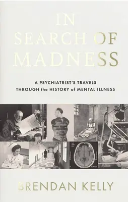 Pri hľadaní šialenstva: Cesty psychiatra dejinami duševných chorôb - In Search of Madness: A Psychiatrist's Travels Through the History of Mental Illness