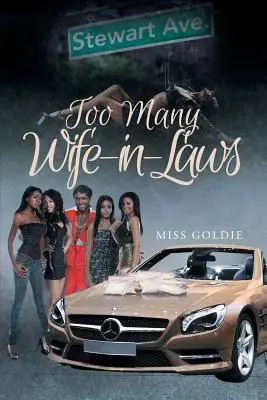 Príliš veľa svokier - Too Many Wife-in-Laws