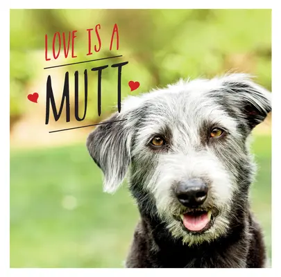 Love Is a Mutt: Psí oslava najroztomilejších miešancov a krížencov na svete - Love Is a Mutt: A Dog-Tastic Celebration of the World's Cutest Mixed and Cross Breeds