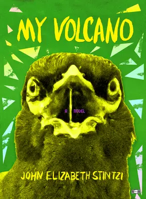 Moja sopka - My Volcano