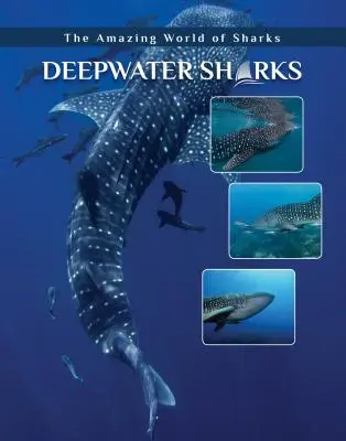 Hlbokomorské žraloky - Deepwater Sharks