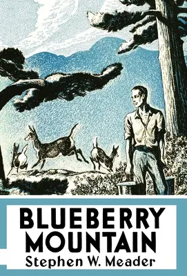 Čučoriedková hora - Blueberry Mountain