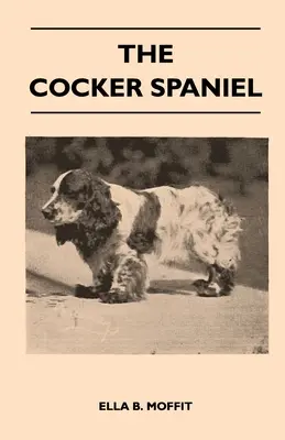 Kokeršpaniel - spoločenský, strelecký a výstavný pes - kompletné informácie o histórii, vývoji, vlastnostiach, štandardoch pre poľné skúšky A - The Cocker Spaniel - Companion, Shooting Dog And Show Dog - Complete Information On History, Development, Characteristics, Standards For Field Trial A