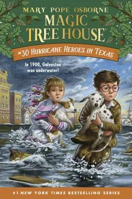 Hrdinovia hurikánov v Texase - Hurricane Heroes in Texas