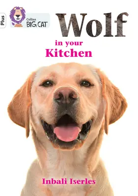 Vlk vo vašej kuchyni - Skupina 10+/Biela Plus - Wolf in your kitchen - Band 10+/White Plus