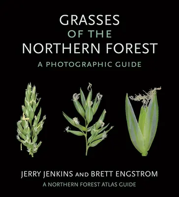 Trávy severných lesov: Fotografický sprievodca - Grasses of the Northern Forest: A Photographic Guide