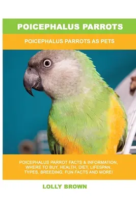 Papagáje poicephalus: Papagáje poicephalus ako domáce zvieratá - Poicephalus Parrots: Poicephalus Parrots As Pets