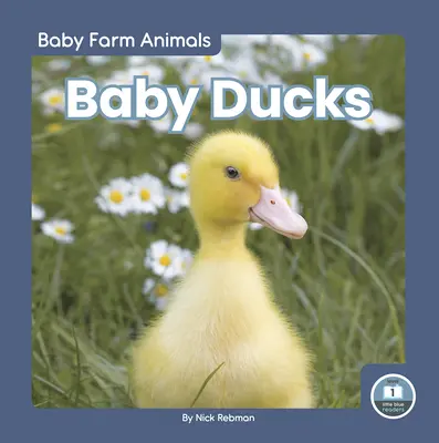 Mláďatá kačíc - Baby Ducks
