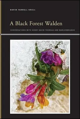 Čierny les Walden - A Black Forest Walden