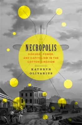 Nekropola: Choroba, moc a kapitalizmus v bavlníkovom kráľovstve - Necropolis: Disease, Power, and Capitalism in the Cotton Kingdom
