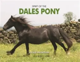 Duch poníka z Dales - Spirit of the Dales Pony