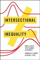 Intersekcionálna nerovnosť: Rasa, trieda, výsledky testov a chudoba - Intersectional Inequality: Race, Class, Test Scores, and Poverty