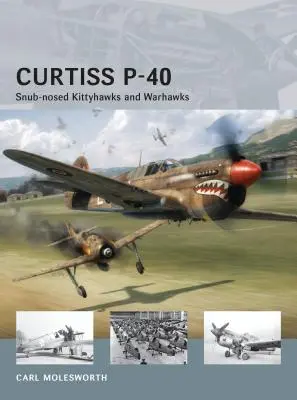 Curtiss P-40: Warhawky a Kittyhawky s chrapľavým nosom - Curtiss P-40: Snub-Nosed Kittyhawks and Warhawks