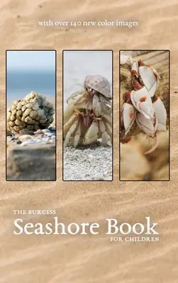 Burgessova kniha o morskom pobreží s novými farebnými obrázkami - The Burgess Seashore Book with new color images