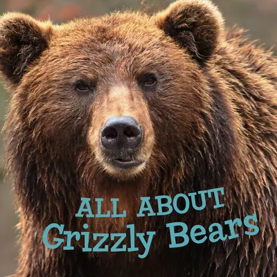 Všetko o medveďoch grizly: Všetko o medveďoch grizlych: anglické vydanie - All about Grizzly Bears: English Edition