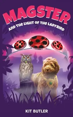 Magster a svetlo berušky - Magster and the Light of the Ladybird
