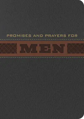 Sľuby a modlitby pre mužov - Promises and Prayers for Men