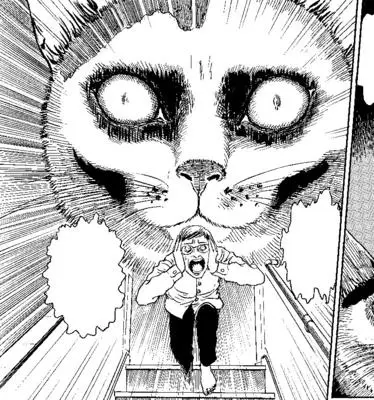 Kočičí denník Džundžiho Itóa: Yon & Mu Collector's Edition - Junji Ito's Cat Diary: Yon & Mu Collector's Edition