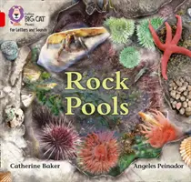 Skalné bazény - pásmo 02b/červená B - Rock Pools - Band 02b/Red B