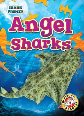 Žraloky anjelské - Angel Sharks