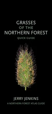 Trávy severných lesov: Stručný sprievodca - Grasses of the Northern Forest: Quick Guide