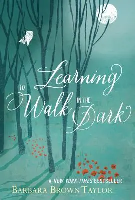 Učiť sa kráčať v tme: Pretože Boh sa niekedy zjavuje v noci - Learning to Walk in the Dark: Because Sometimes God Shows Up at Night