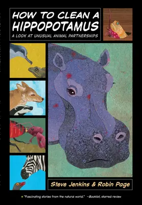 Ako vyčistiť hrocha: Pohľad na nezvyčajné partnerstvá zvierat - How to Clean a Hippopotamus: A Look at Unusual Animal Partnerships