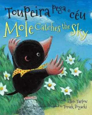 Krtko chytá oblohu (portugalsky/anglicky) - Mole Catches the Sky (Portuguese/English)