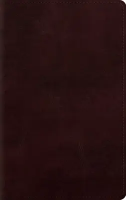 Biblia veľkej tlače osobnej veľkosti-ESV - Large Print Personal Size Bible-ESV