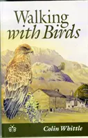Prechádzky s vtákmi - Výskum divokej prírody a krajiny kumbrijského údolia - Walking with Birds - An Exploration of Wildlife and Landscape of a Cumbrian Valley