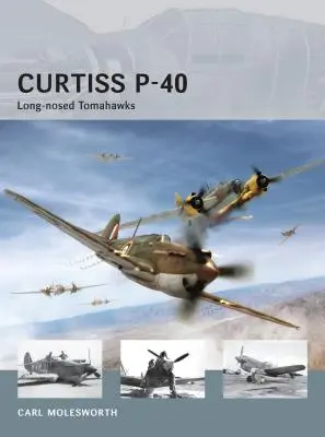 Curtiss P-40: Tomahawky s dlhými nosmi - Curtiss P-40: Long-Nosed Tomahawks