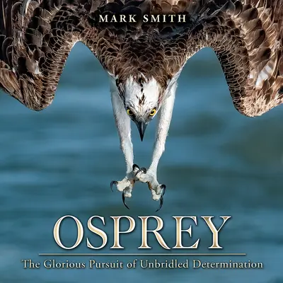 Osprey: Slávna honba za neobmedzeným odhodlaním - Osprey: The Glorious Pursuit of Unbridled Determination
