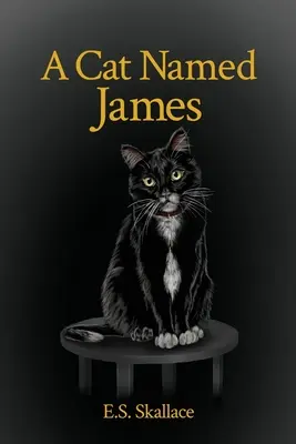 Mačka menom Jakub - A Cat Named James