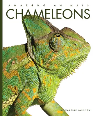 Chameleóny - Chameleons