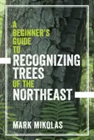 Príručka pre začiatočníkov na rozpoznávanie stromov severovýchodu - A Beginner's Guide to Recognizing Trees of the Northeast