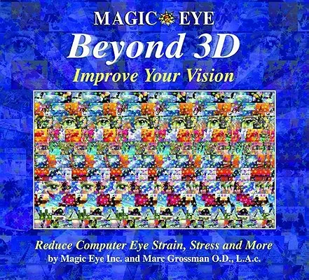 Magické oko za hranicami 3d: Zlepšite si zrak, 6 - Magic Eye Beyond 3d: Improve Your Vision, 6