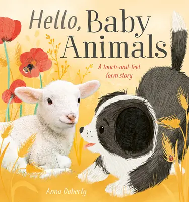 Hra na farme: Rozprávková kniha o zvieratkách na dotyk a ohmatanie - Playtime on the Farm: A Touch-And-Feel Baby Animal Storybook
