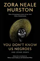 Vy nás černochov nepoznáte a iné eseje - You Don't Know Us Negroes and Other Essays
