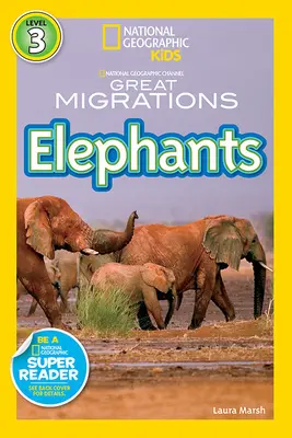 Slony - Elephants