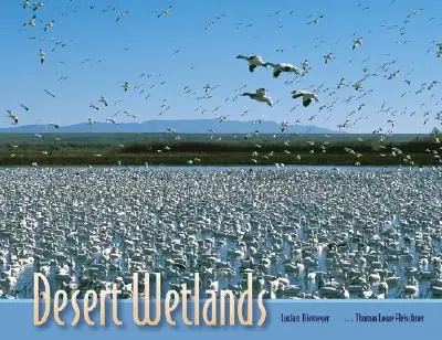 Púštne mokrade - Desert Wetlands