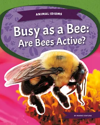 Zaneprázdnený ako včela: Sú včely aktívne? - Busy as a Bee: Are Bees Active?