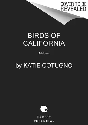Vtáky Kalifornie - Birds of California
