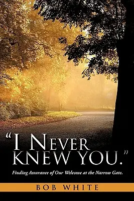 Nikdy som ťa nepoznal. - I Never Knew You.