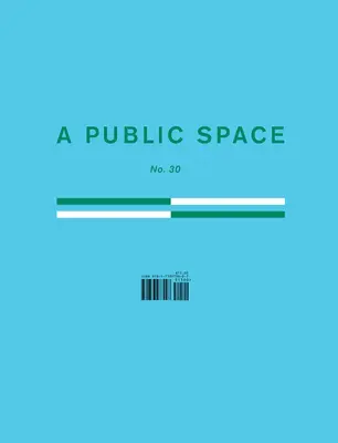 Verejný priestor č. 30 - A Public Space No. 30