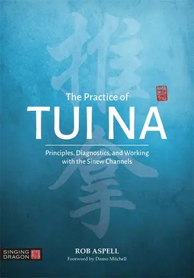 Prax Tui Na: Princípy, diagnostika a práca so šľachovými kanálmi - The Practice of Tui Na: Principles, Diagnostics and Working with the Sinew Channels