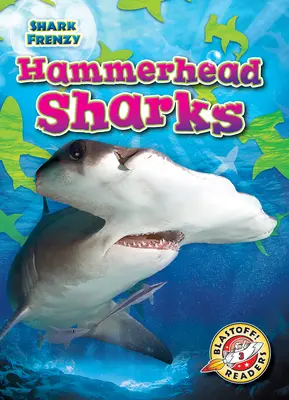 Žraloky kladivohlavé - Hammerhead Sharks
