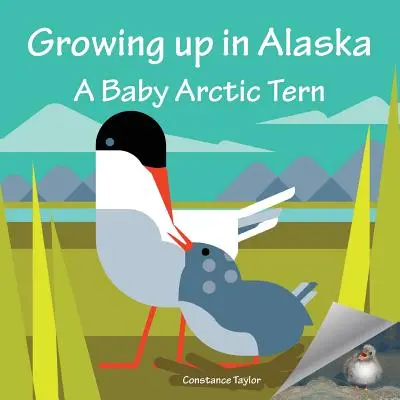 Vyrastanie na Aljaške: Mláďa rybárika polárneho - Growing up in Alaska: A Baby Arctic Tern